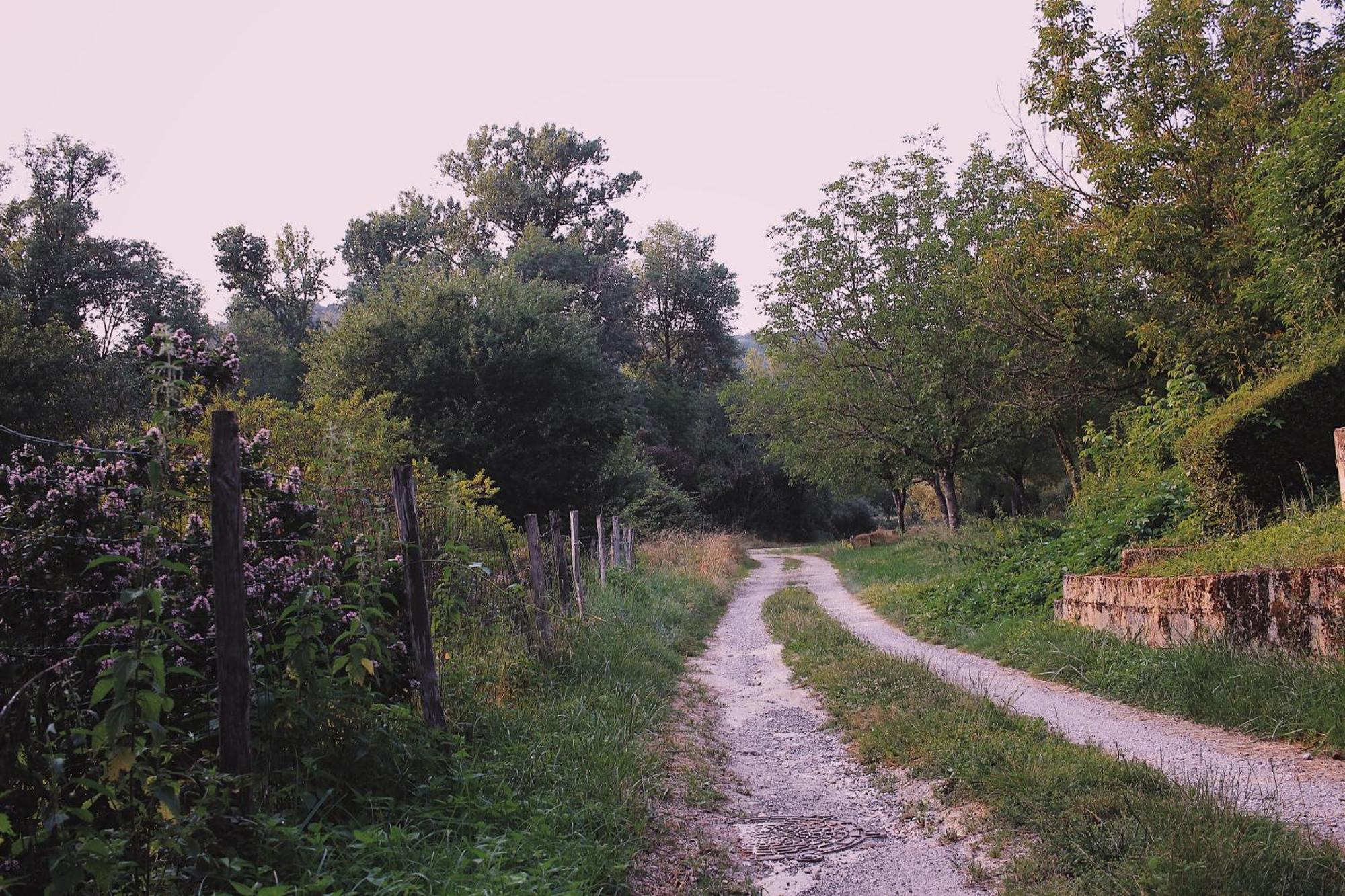 Joli Gite Pour 5 Personnes : Chez Cherrie Saint-Julien-de-Lampon 外观 照片
